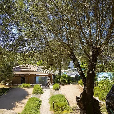 Apartamento Domaine D'arca - Eluard 13 - Toit Terrasse - 4